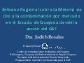Minería de oro y contaminación por mercurio en el Escudo de Guayana 