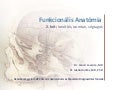 02 - Funkcionális Anatómia (OLKD, I. évf.): Izomtan, ízületek