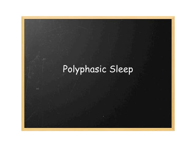 Sept 09 - Morgan Engel - A Primer on Polyphasic Sleeping