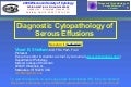 02 Presentations Ii Vs (14 4 Mb)  (3 30 08)