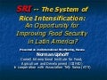 0203 The System of Rice Intensification An Opportunity for Improving Food Security in Latin America