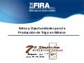 Retos y oportunidades para la produccion de Trigo en Mexico