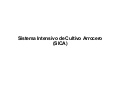 0303 Sistema Intensivo de Cultivo Arrocero (SICA)