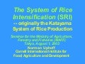 0327 The System of Rice Intensification (SRI)