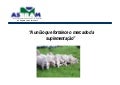 04 - Suplementação na pecuária de corte - Sergio Morgulis - Asbram