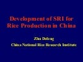 0412 Development of System of Rice Intensification for Rice Production in China