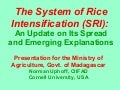 0419 The System of Rice Intensification (SRI):  An Update on Its Spread and Emerging Explanations