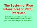 0426 The System of Rice Intensification (SRI):   Practices - Part II