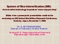 0430 System of Rice Intensification (SRI)