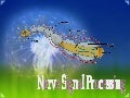 04 nerve singnal processing