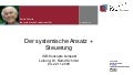 Systemische Professionalität - systemischer Ansatz und Steuerung 