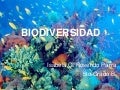 05  biodiversidad - isabela rosendo