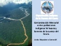 Contaminación mercurial en los Ye´kwana y Sanema de la cuenca del Caura