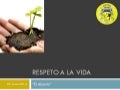 05 RESPETO A LA VIDA