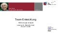Systemische Professionalität - Team-Entwicklung