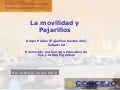 La movilidad y Pajarillos