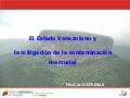 El Estado Venezolano y la mitigación de la contaminación mercurial