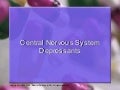 NurseReview.Org - Cns Depressants Updates (pharmacology cram)