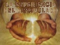 08 Experiencia Discipulado Sef
