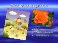 08  nutrición magdielis y adriana
