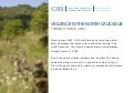 Violence in the North Caucasus
