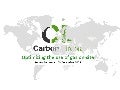 Alternative uses to reduce gas flaring - Anders Pederstad (Carbon Limits)