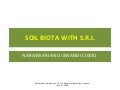 0813 Soil Biota with SRI