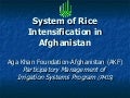 0847 System of Rice Intensification in Afghanistan