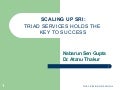 0873 Scaling Up SRI: Triad Services Holds the Key to Success