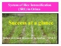 0881 System of Rice Intensification  (SRI) in Orissa: Success at a Glance