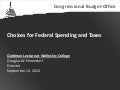 Choices for Federal Spending and Taxes: CBO Director Doug Elmendorf's Goldman Lecture at Wellesley College