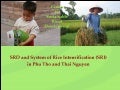 0930 Center for Sustainable and Rural Development and the System of Rice Intensification in Phu Tho and Thai Nguyen