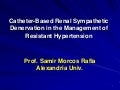 0 samir rafla  renal denervation