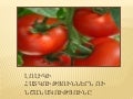 презентация1