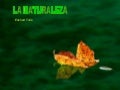 1 naturaleza
