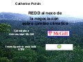REDD Panama 2011 - Catherine Potvin / REDD negociación cambio climático