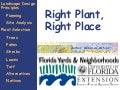 FYN Principle #1 - Right Plant, Right Place