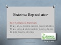 CN9-sistema reprodutor-anatomia