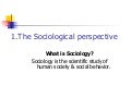 1 Sociology