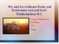 1Teil der PowerPointPräsentation über R.C.Wüm