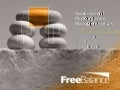 10.45 12.00pm Government 2.0, Perf Mgmt In Pfm Transformation (Doug Hadden) English