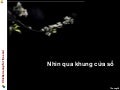 100119 Nhin Qua Khung Cua So