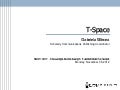 T-Space