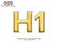 Conference Call Presentation - Interim Report H1 2010