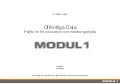 100817 codemocracy offentliga data