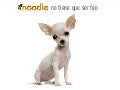 Moodle no tiene que ser feo