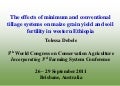 The effects of minimum and conventional tillage systems on maize grain yield and soil fertility in western Ethiopia. Tolessa Debele Dilalessa