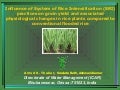 1043 Influence of System of Rice Intensification (SRI) practices on grain yield and associated physiological changes in rice plants compared to conventional flooded rice