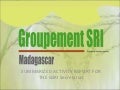 1046 Groupment SRI-Summarized Activity Report for the GSRI Secretariat