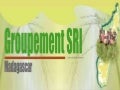 1060 Groupement SRI Madagascar